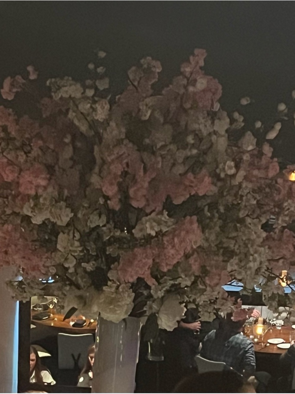 Meet your Posher, Jeff-ivy